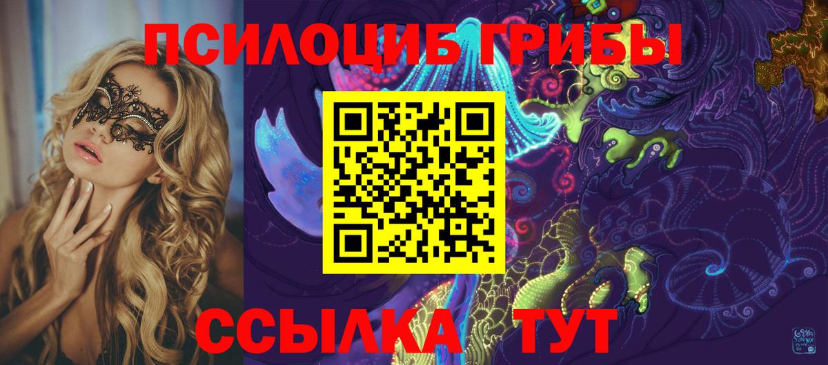Псилоцибиновые грибы мицелий  закладка  Аша  Вход с VPN 